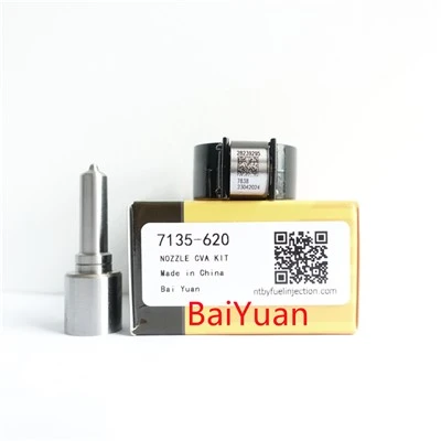 Κιτ επισκευής 7135-620 για Delphi Injector